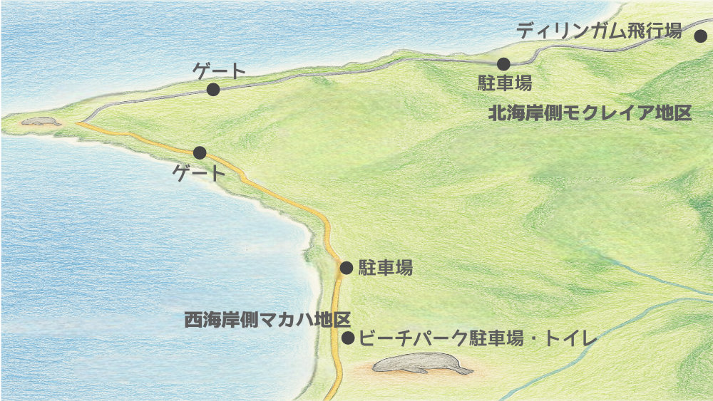 カエナポイントのイラストマップ カエナポイントのイラストマップ