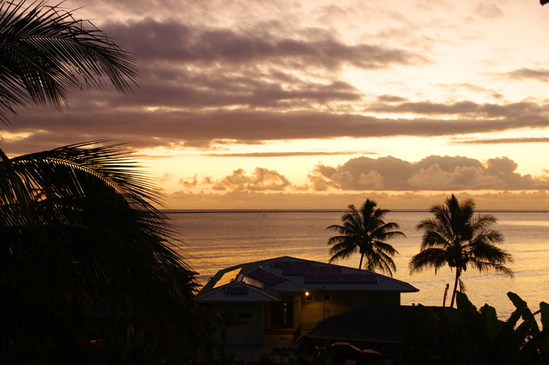 ハワイ島のワイルドジンジャーインホテルの中庭から海を眺める
