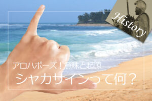 投稿についてもっと詳しく アロハポーズのシャカサイン(Shaka)の意味と起源