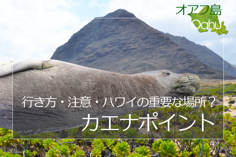 投稿についてもっと詳しく カエナポイント西海岸マカハルート行き方・注意とハワイの伝説｜Ka’ena Point