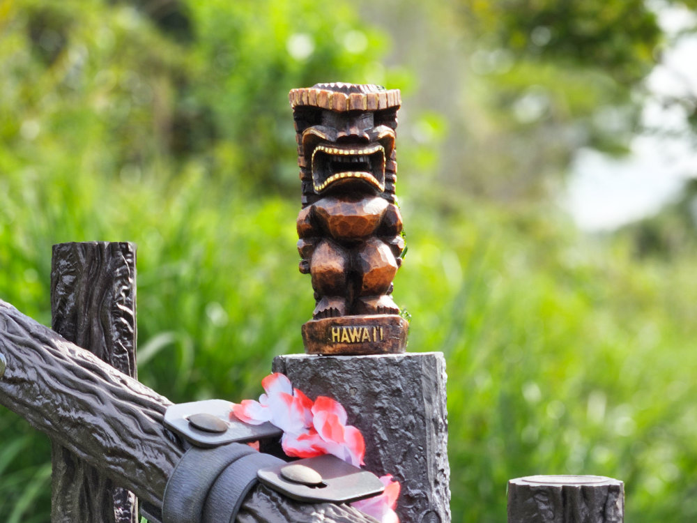 佐倉市ハワイアンサンセットヒルズ